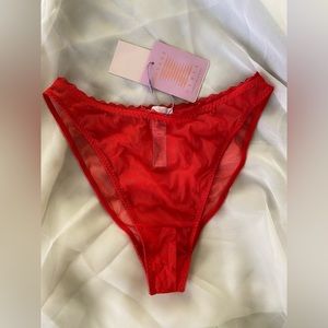 Savage X Fenty red mesh panties